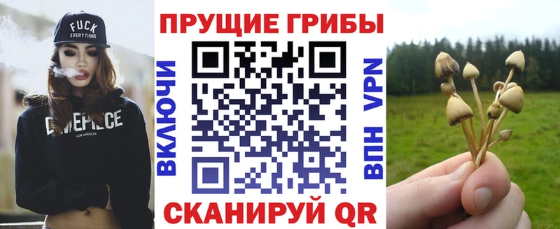 Купить где  Правдинск  Псилоцибиновые грибы мухоморы 